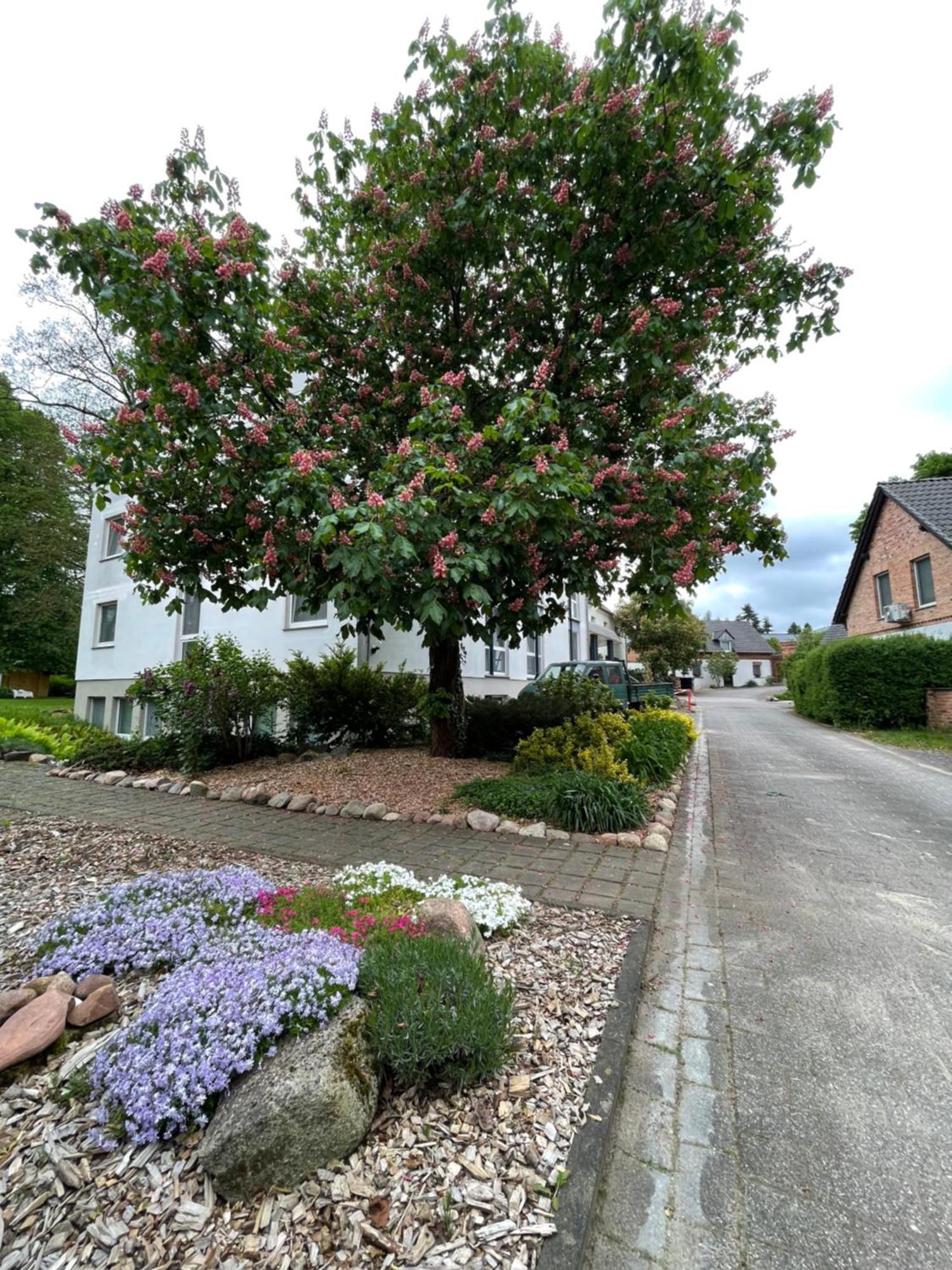 Hotel Luther Birke Wittenberg Exterior foto